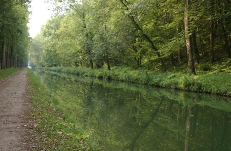 Escapade au fil des canaux de la Marne