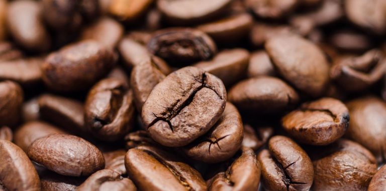 Atelier Cafés Grands Crus