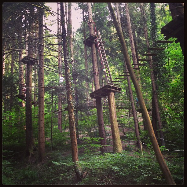 Parcours d'Accrobranche