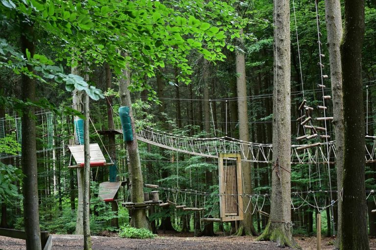 Parcours d'Accrobranche