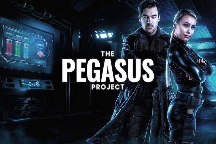 team building à distance - Pegasus Project
