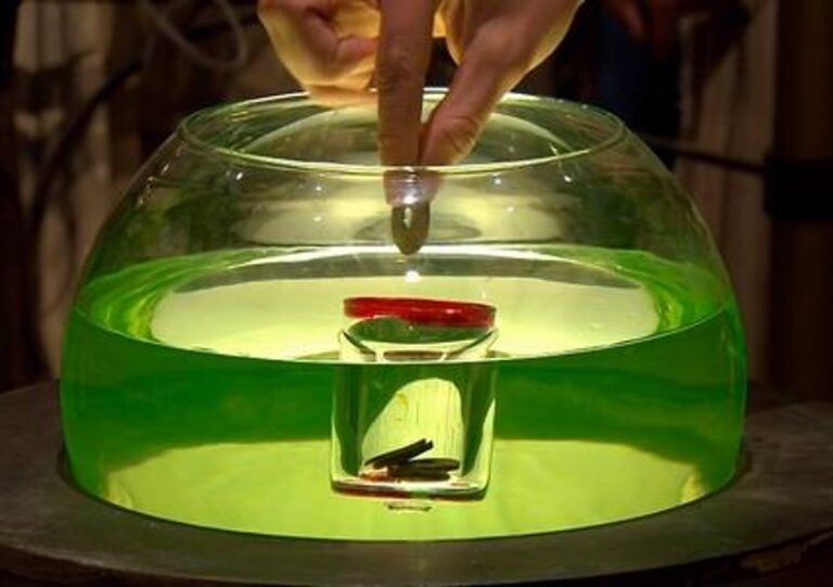 Le défi des Boyards