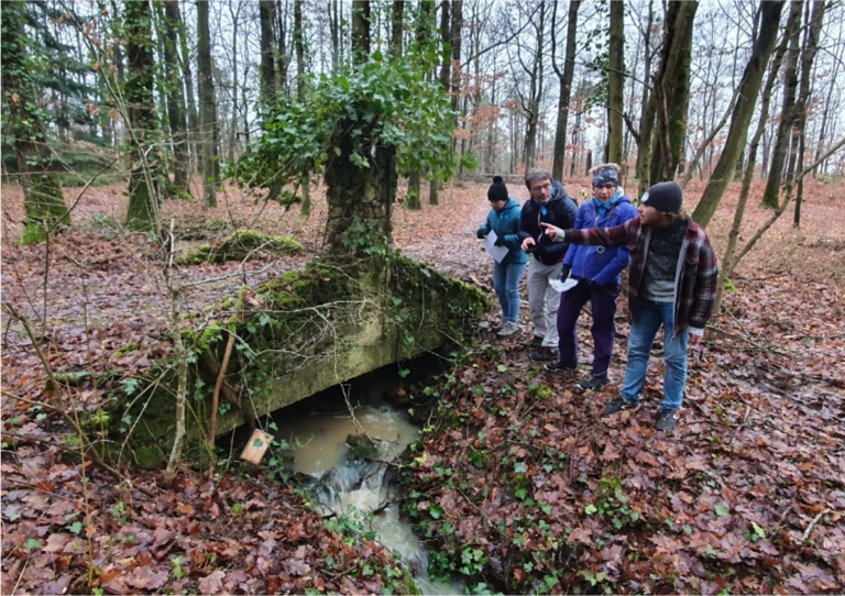 Escape Wood : énigmes en pleine forêt