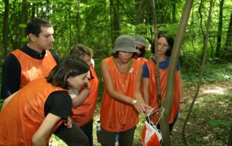 Koh'Lympiades : défis sportifs