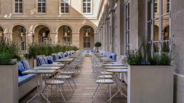 Mimosa - Hôtel de la Marine