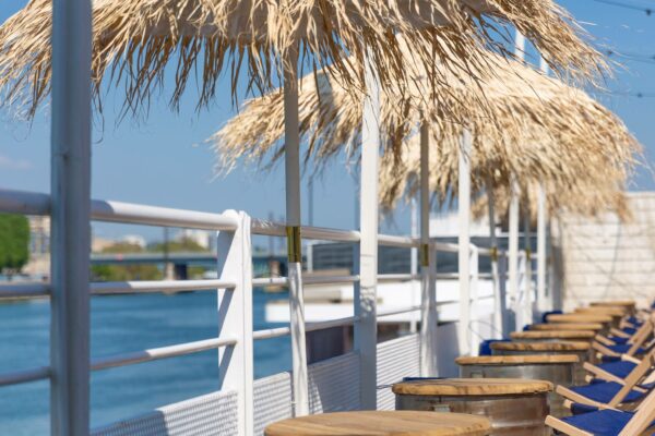 Polpo plage