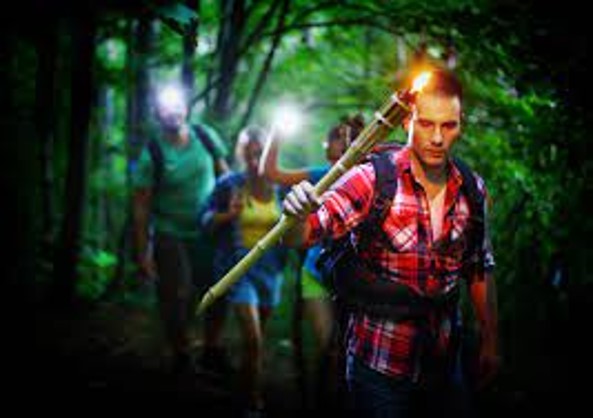 Escape Forest - Le Bois de Rossy
