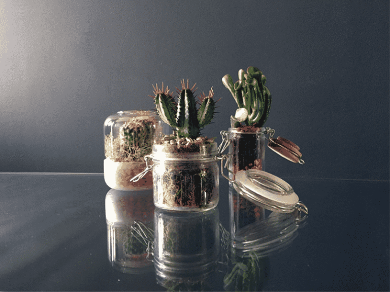Fabriquez votre objet végétal